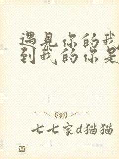 遇见你的我,碰到我的你是什么歌