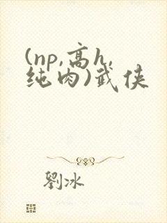 (np,高h,纯肉)武侠