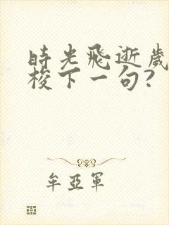 时光飞逝岁月如梭下一句?