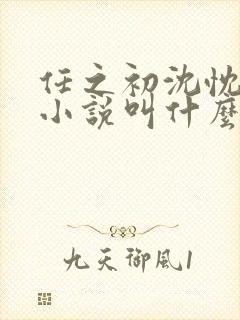 任之初沈忱原著小说叫什么名字