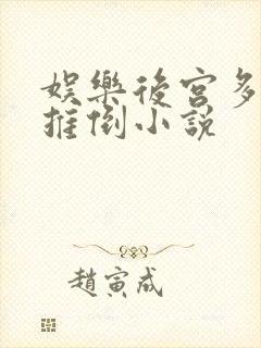 娱乐后宫多女主推倒小说