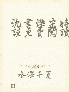 沈聿烁宋时宜小说免费阅读