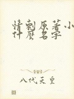 情刺原著小说叫什么名字