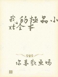 我的极品小姨txt全本