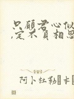 只愿君心似我心,定不负相思意什么意思