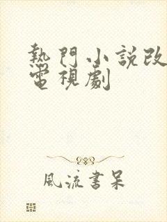 热门小说改编的电视剧