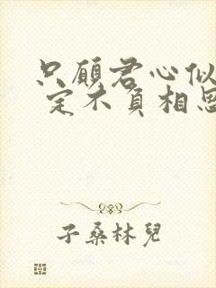 只愿君心似我心 定不负相思意.