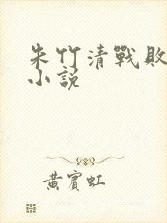 朱竹清战败被俘小说