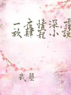 一夜情深,霍少放肆宠小说免费阅读