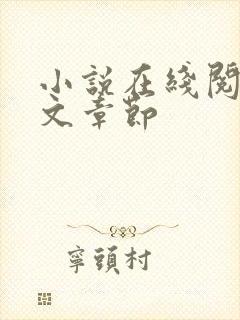 小说在线阅读全文章节