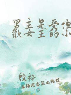 男主是受但是喜欢女主的小说