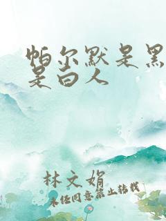 帕尔默是黑人还是白人