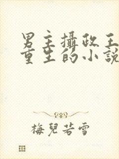 男主摄政王女主重生的小说