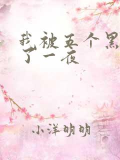 我被五个黑人p了一夜