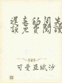 迟来的周先生小说免费阅读