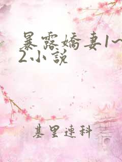 暴露娇妻1~12小说