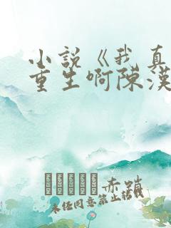 小说《我真没想重生啊陈汉升》