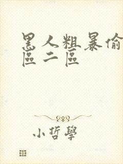 黑人粗暴偷拍一区二区