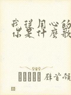 我从用心的爱着你是什么歌