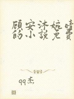 顾安沐婉晴主角的小说免费阅读