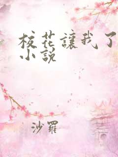 校花让我了一夜小说