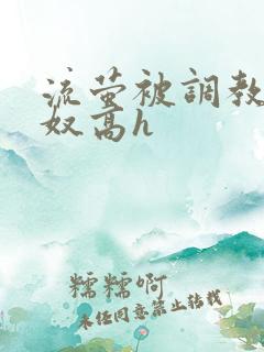 流萤被调教成肉奴高h