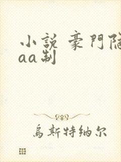 小说 豪门隐婚aa制