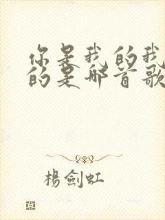 你是我的我是你的是哪首歌的歌词