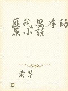 匪我思存的乐游原小说