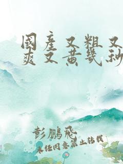 国产又粗又猛又爽又黄几秒视频