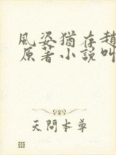 风姿犹存赵小龙原著小说叫什么名字