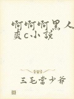 啊啊啊黑人快点爽c小说