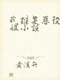 我推是恶役大小姐小说