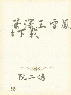 萧泽王雪凤txt下载