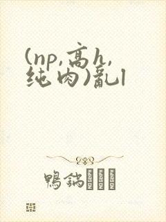 (np,高h,纯肉)乱l