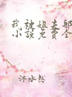 我被姐夫那些年小说免费全文阅读