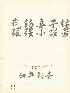 我的妻子林慧茹张强小说最新章节阅读