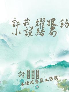 许我耀眼的原著小说结局