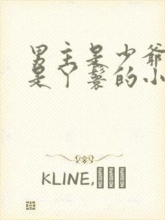 男主是少爷女主是丫鬟的小说