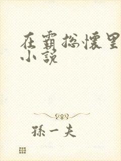 在霸总怀里撒娇小说