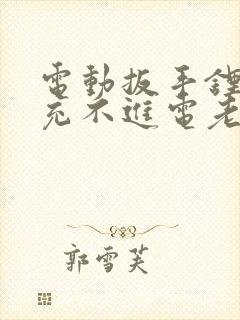 电动扳手锂电池充不进电老是绿灯