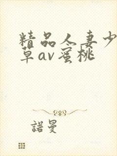 精品人妻少妇嫩草av蜜桃