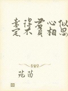 幸得君心似我心定不负相思意