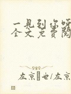 一见到你呀小说全文免费阅读