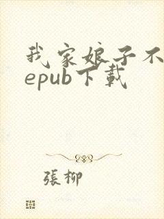 我家娘子不对劲epub下载