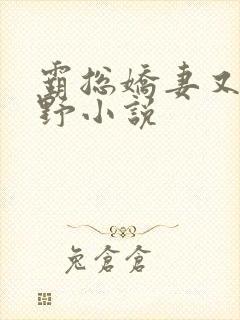 霸总娇妻又辣又野小说