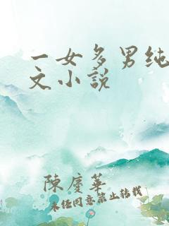 一女多男纯肉辣文小说