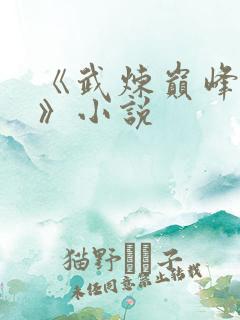 《武炼巅峰杨开》小说