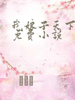 我娘子天下第一免费小说