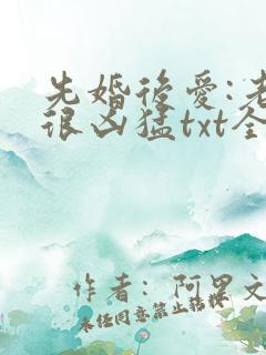 先婚后爱:老公很凶猛txt全文下载